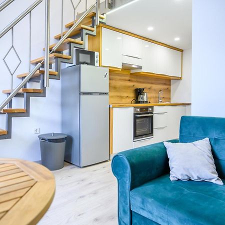 The Amazing Loft Apartment Ljubljana Exterior foto